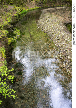 The clear stream surrounded by lush greenery of the Oike spring group - Oita Prefecture The clear stream surrounded by lush greenery of the Oike spring group - Oita Prefecture 140248278