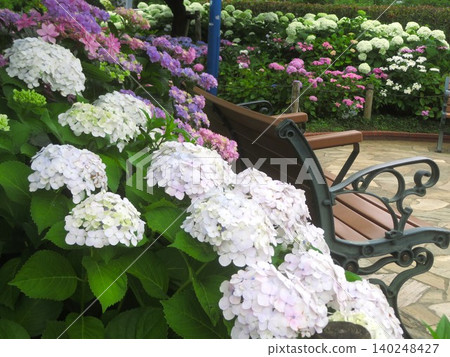 Shimomaruko Park, where you can relax on benches surrounded by hydrangeas. Shimomaruko Park, where you can relax on benches surrounded by hydrangeas. 140248427