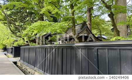 街道兩旁林立著藥屋門和黑色木柵欄，五月的晴空萬裡，樹木蔥鬱鬱蔥蔥。 （武士宅邸街/秋田縣仙北市角館町） 140249406
