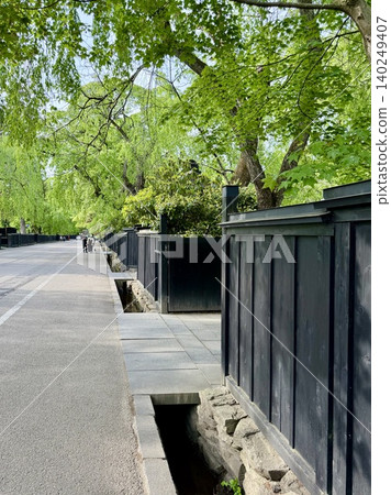 街道兩旁林立著藥屋門和黑色木柵欄，五月的晴空萬裡，樹木蔥鬱鬱蔥蔥。 （武士宅邸街/秋田縣仙北市角館町） 140249407