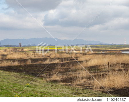 Grassland after controlled burning Grassland after controlled burning 140249887