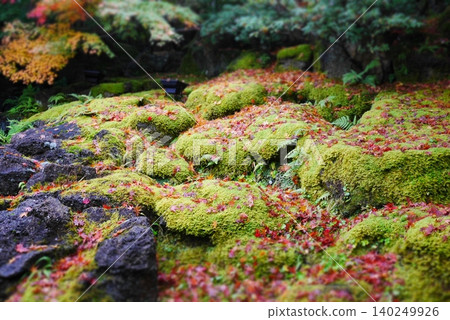 與青苔的風景 140249926