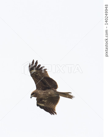 Flying in the sky 140249948