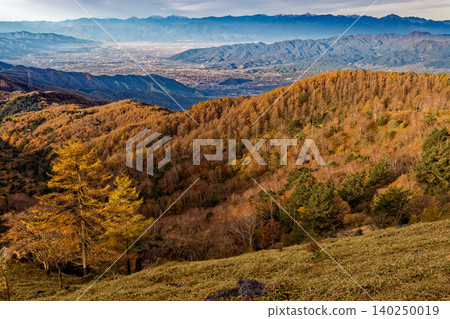 從大寶薩峠附近眺望南阿爾卑斯山脈、甲府盆地以及落葉松泛黃的葉子。 從大寶薩峠附近眺望南阿爾卑斯山脈、甲府盆地以及落葉松泛黃的葉子。 140250019