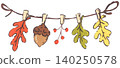Hand Drawn Acorn Illustration 140250578