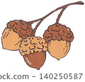 Hand Drawn Acorn Illustration 140250587