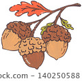 Hand Drawn Acorn Illustration 140250588