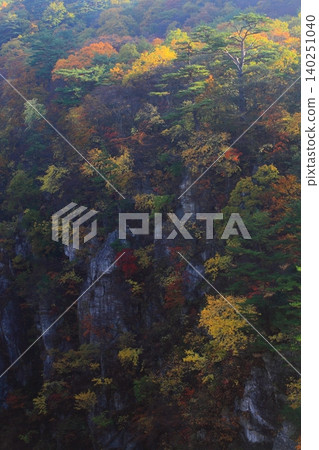 Autumn foliage on a mountainside shrouded in mist Autumn foliage on a mountainside shrouded in mist 140251040