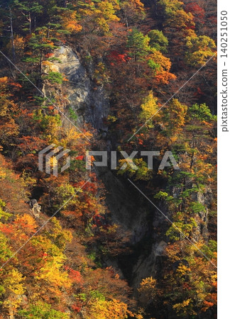 Autumn foliage on a mountainside shrouded in mist 140251050