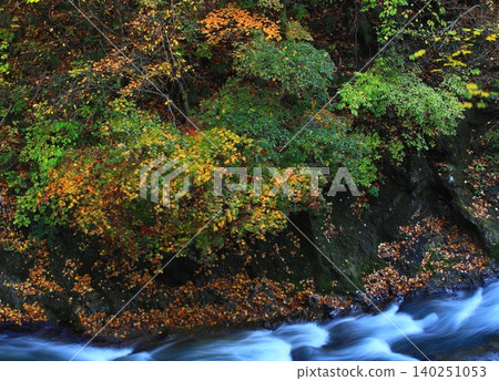 Autumn foliage on a mountainside shrouded in mist Autumn foliage on a mountainside shrouded in mist 140251053