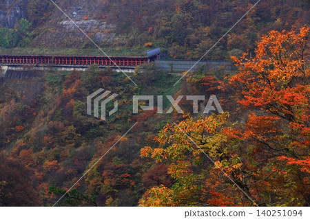 Autumn leaves trees Autumn leaves trees 140251094