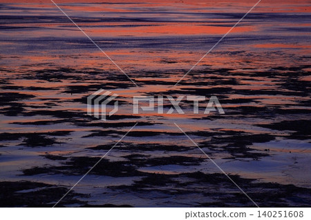 伊豆沼湖沐浴在晨曦之中 伊豆沼湖沐浴在晨曦之中 140251608