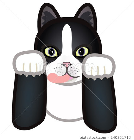 一隻穿著襪子的貓的臉的插圖 一隻穿著襪子的貓的臉的插圖 140251713