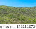 Mountainside covered in fresh greenery 140251872