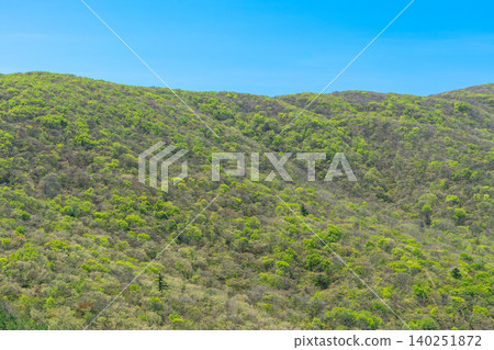Mountainside covered in fresh greenery Mountainside covered in fresh greenery 140251872