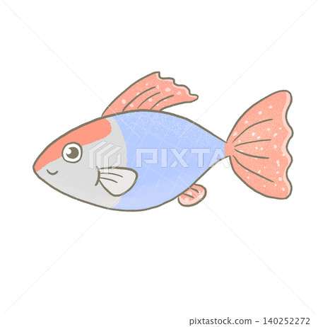 R:更像童話般的水族箱☆熱帶魚孔雀魚⑤ R:更像童話般的水族箱☆熱帶魚孔雀魚⑤ 140252272