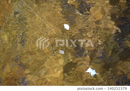 A background image of ginkgo leaves, their leaves turning yellow in autumn, reflected on the water's surface. A background image of ginkgo leaves, their leaves turning yellow in autumn, reflected on the water's surface. 140252379