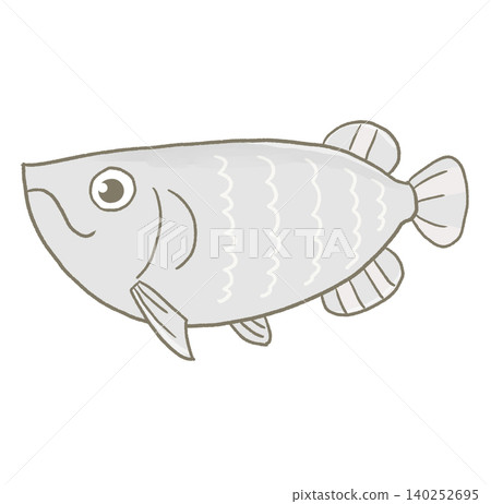 R:更像童話般的水族箱☆熱帶魚:龍魚① R:更像童話般的水族箱☆熱帶魚:龍魚① 140252695