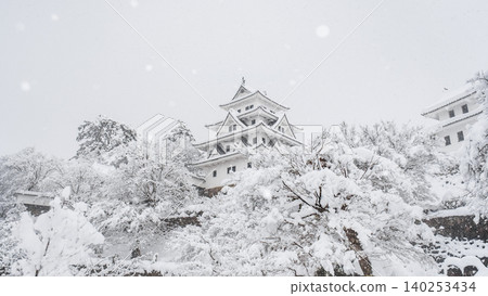 郡上八幡城（冬季） 140253434