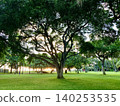 夏威夷瓦胡島日落時分，綠草茵的公園和古老的樹木交相輝映——這是一個充滿能量的地方。 140253535
