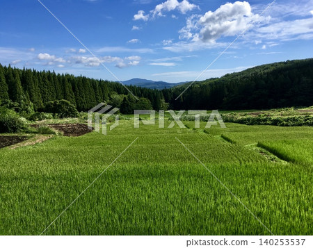 山間梯田景色秀麗,綠意盎然的稻田一眼望不到邊。 山間梯田景色秀麗,綠意盎然的稻田一眼望不到邊。 140253537