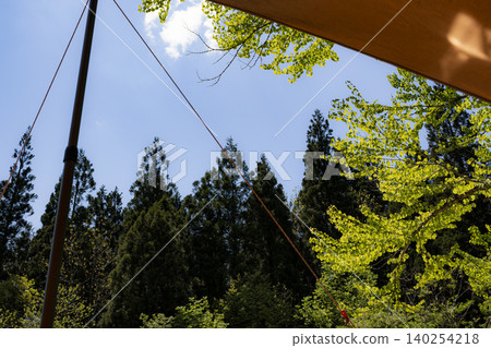 Camping scenery in the season of fresh greenery and a refreshing summer sky Camping scenery in the season of fresh greenery and a refreshing summer sky 140254218