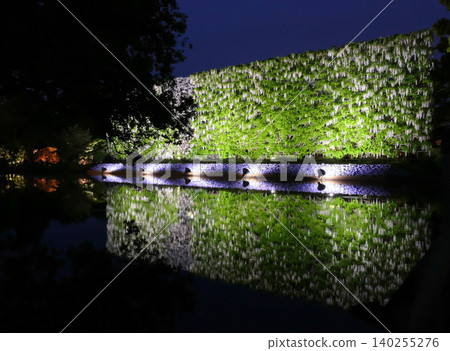 足利花卉公園「白富士瀑布」夜景 足利花卉公園「白富士瀑布」夜景 140255276
