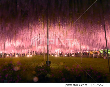 Ashikaga Flower Park "Miracle Wisteria" Night View Illumination 2 Ashikaga Flower Park "Miracle Wisteria" Night View Illumination 2 140255298