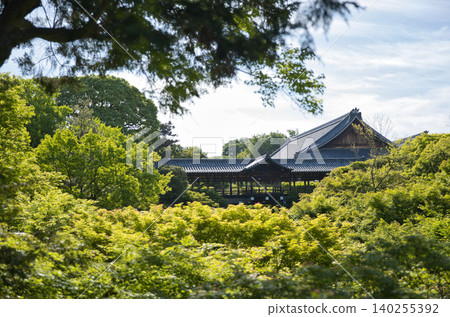 春日京都:從岩雲橋眺望通天橋,橋下綠樹成蔭(9) 春日京都:從岩雲橋眺望通天橋,橋下綠樹成蔭(9) 140255392