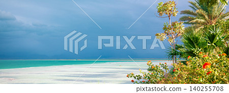 Tropical Paradise. Palm trees on the beach of the Dead Sea. Dead Sea Coast with Tropical Plants. Tropical nature landscape Tropical Paradise. Palm trees on the beach of the Dead Sea. Dead Sea Coast with Tropical Plants. Tropical nature landscape 140255708
