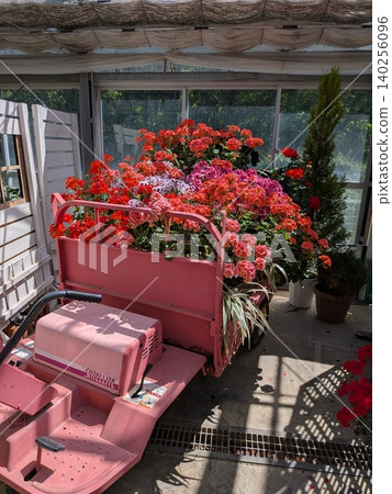 Beautiful roses on a cart 140256096