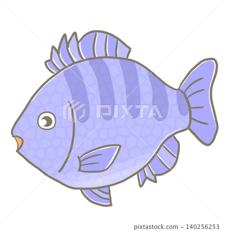 R:更像童話般的水族箱 ☆ 入侵種 ☆ 藍鰓太陽魚 ② R:更像童話般的水族箱 ☆ 入侵種 ☆ 藍鰓太陽魚 ② 140256253