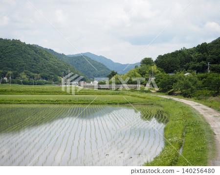 Nostalgic landscape Nostalgic landscape 140256480