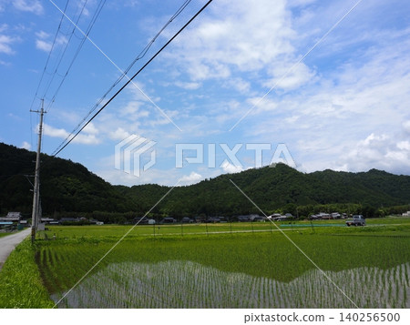 Nostalgic landscape Nostalgic landscape 140256500