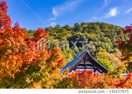 Vibrant autumn foliage surrounds a traditional Japanese temple roof against a blue sky Vibrant autumn foliage surrounds a traditional Japanese temple roof against a blue sky 140257675