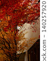 Landscape with autumn leaves 140257920