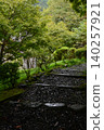 A path surrounded by greenery 140257921