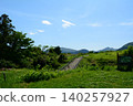 Road surrounded by greenery 140257927
