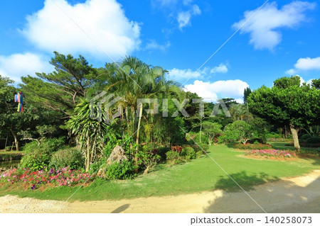 [Okinawa Prefecture] Sunny weather at Miyako Island Tropical Botanical Garden 140258073