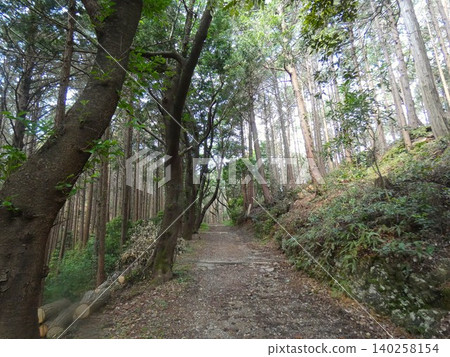 豐橋市赤巖寺:觀景台及通往赤岩嶺的小徑 豐橋市赤巖寺:觀景台及通往赤岩嶺的小徑 140258154