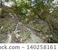 Akaiwa-ji Temple, Toyohashi City: Giant rocks and trees covered in ferns 140258161