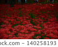 Crimson carpet 140258193