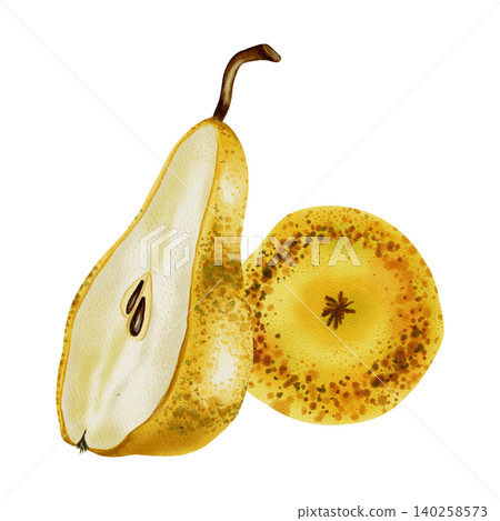 Hand drawn watercolor illustration of a composition with whole yellow pears and slices Hand drawn watercolor illustration of a composition with whole yellow pears and slices 140258573