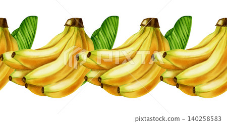 Watercolor illustration seamless border of banana bunches and green tropical leaves. Hand drawn exotic fruit pattern. Botanical art for food packaging, fabrics, wallpaper, kitchen decor, cafe menus Watercolor illustration seamless border of banana bunches and green tropical leaves. Hand drawn exotic fruit pattern. Botanical art for food packaging, fabrics, wallpaper, kitchen decor, cafe menus 140258583