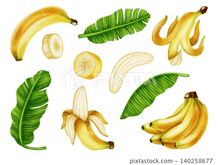 Watercolor illustration set of yellow banana clusters and lush green tropical leaves. Botanical art for food packaging, fabrics, wallpaper, kitchen decor, and cafe menus. Watercolor illustration set of yellow banana clusters and lush green tropical leaves. Botanical art for food packaging, fabrics, wallpaper, kitchen decor, and cafe menus. 140258677