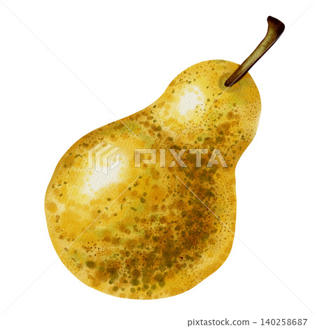 Hand-drawn watercolor illustration of a ripe yellow pear with brown speckles Hand-drawn watercolor illustration of a ripe yellow pear with brown speckles 140258687