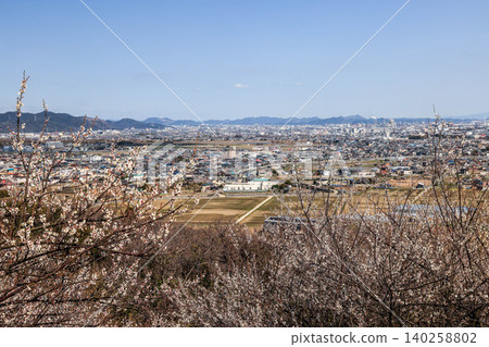 從綾部山梅樹林眺望大海 從綾部山梅樹林眺望大海 140258802