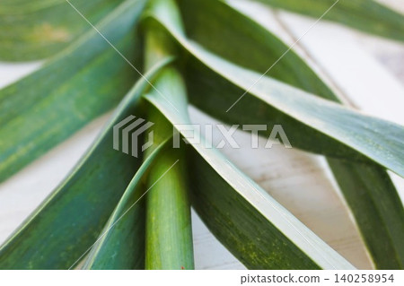 Jumbo garlic, odorless garlic, jumbo leeks Jumbo garlic, odorless garlic, jumbo leeks 140258954