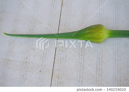 Jumbo garlic, odorless garlic, jumbo leeks, garlic sprouts Jumbo garlic, odorless garlic, jumbo leeks, garlic sprouts 140259020