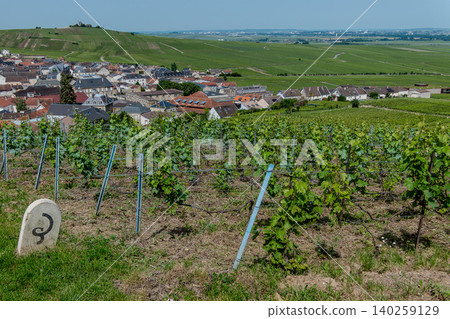 Vineyards of Verzenay Grand Cru with Windmill in Champagne, France Vineyards of Verzenay Grand Cru with Windmill in Champagne, France 140259129